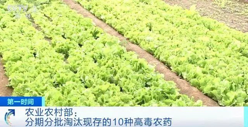 農業農村部：3年內淘汰這10種高毒農藥， 重點治理豇豆、韭菜、芹菜農殘超標(圖1)